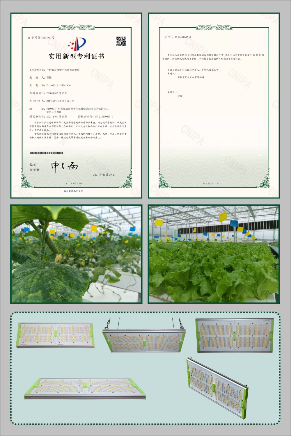 大宝娱乐植物生长面板灯适用新型专利